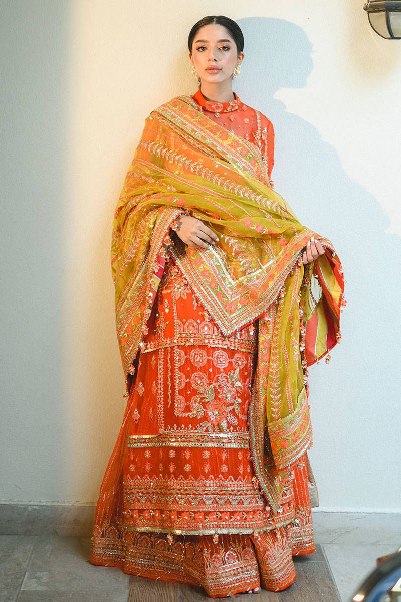 MNR NAZIA HASSAN Tangerine ZWU22-11