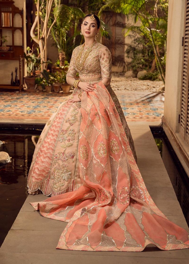 Stories of Chata Patti D5